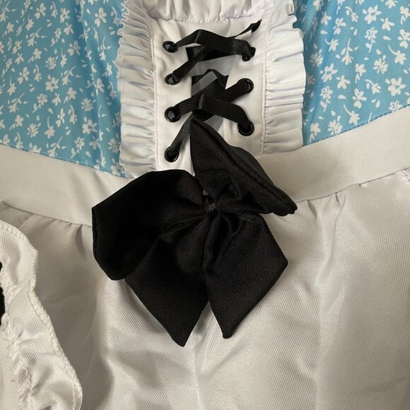 Blue Oktoberfest Costume Dress - Picture 5 of 13